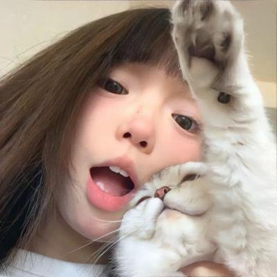 猫物件 电影版
